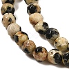 Natural Dalmatian Jasper Beads Strands G-Z068-B07-01-4