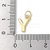 Rack Plating Brass Charms KK-P245-06G-Y-3