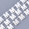 Freshwater Shell Beads X-SHEL-T012-59M-1