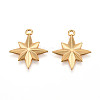 304 Stainless Steel Pendants STAS-N109-103G-1