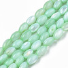 Natural Freshwater Shell Beads Strands SHEL-N003-25-B03-1