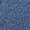 MIYUKI Delica Beads SEED-JP0008-DB2135-3