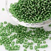 8/0 Glass Seed Beads SEED-US0003-3mm-27B-1