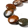 Natural Picasso Stone/Picasso Jasper Beads Strands G-B032-C01-3