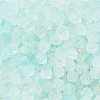 Frosted Glass Beads X1-FGLA-D300-01B-3