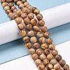 Natural Picture Jasper Beads Strands G-E571-28B-2