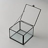 Cuboid Transparent Glass with Zinc Alloy Storage Box CON-WH0095-94-2