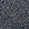 MIYUKI Round Rocailles Beads SEED-JP0010-RR0360-3