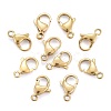 Ion Plating(IP) 304 Stainless Steel Lobster Claw Clasps X-STAS-H353-E-02G-2