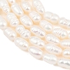 Natural Cultured Freshwater Pearl Beads Strands PEAR-F020-08-4
