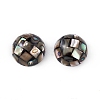 Synthetic Abalone Shell/Paua Shell Beads SSHEL-K001-001D-1