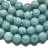 Natural Malaysia Jade Beads Strands G-L645-A01-14mm-25-2