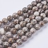 Natural Maifanite/Maifan Stone Beads Strands G-I187-8mm-01-2