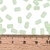 FGB Frosted Transparent Glass Seed Beads SEED-N013-05A-08-4