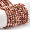 Natural Argentina Rhodonite Beads Strands G-B107-A04-04-2