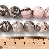 Natural Argentina Rhodonite Beads Strands G-G271-B02-12mm-5