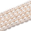 Natural Cultured Freshwater Pearl Beads Strands PEAR-L033-74-1