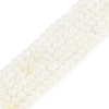 Natural Cultured Freshwater Shell Beads Strands BSHE-H109-03B-1