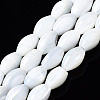 Natural Trochid Shell/Trochus Shell Beads Strands SSHEL-S266-021A-02-1