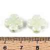 Handmade Porcelain Beads PORC-Z001-01G-01-3
