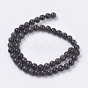 Natural Ice Obsidian Bead Strands G-E468-D01-10mm-2