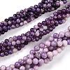 Natural Lepidolite/Purple Mica Stone Beads Strands G-K415-8mm-1