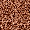 MIYUKI Delica Beads SEED-JP0008-DB2107-3
