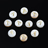 Natural Freshwater Shell Beads SHEL-S278-036A-1