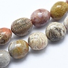 Natural Chrysanthemum Stone Beads Strands X-G-E483-75A-1