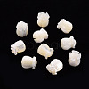 Natural Trochid Shell/Trochus Shell Beads SSHEL-T014-32-1