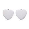 Tarnish Resistant 304 Stainless Steel Pendants STAS-I140-06S-2