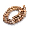 Natural Maifanite/Maifan Stone Beads Strands G-P451-01A-C-4