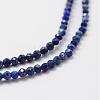 Natural Lapis Lazuli Beads Strands G-K185-01-3
