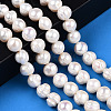 Natural Cultured Freshwater Pearl Beads Strands PEAR-N013-10F-2