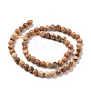 Natural Picture Jasper Beads Strands G-E571-28A-3