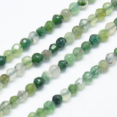 Natural Moss Agate Beads Strands G-J002-03H-1