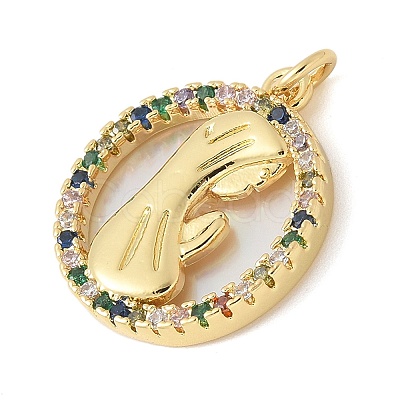 Brass Micro Pave Cubic Zirconia Pendants KK-K298-16G-01-1