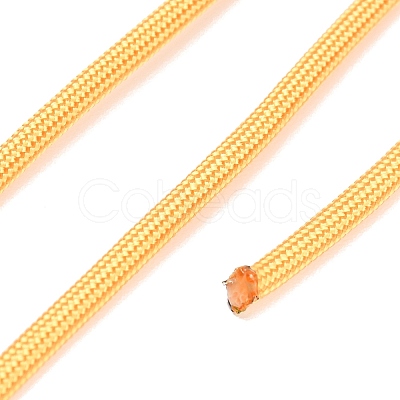 550 Paracord Polyester Parachute Cord FB-F019-A14-1
