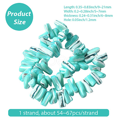 1 Strand Dyed Natural Trochus Shell Beads Strands SSHEL-PA0001-01D-1