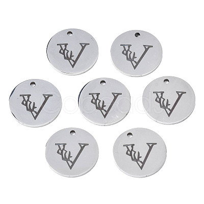 Non-Tarnish 304 Stainless Steel Charms LS-STAS-T059-26P-V-1