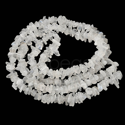Natural Rainbow Moonstone Chip Beads Strands G-C195-01-1