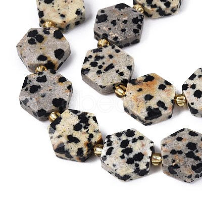 Natural Dalmatian Jasper Beads Strands G-N368-01A-03-1