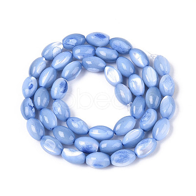 Natural Trochus Shell Beads Strands SHEL-K006-19-01A-1