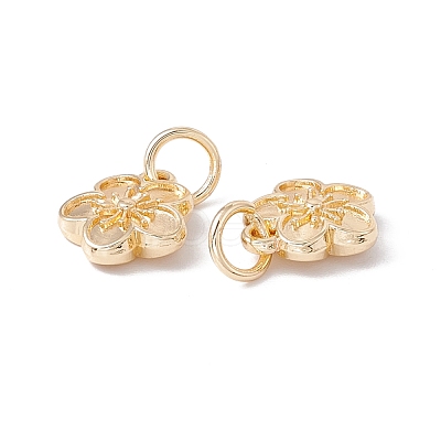 Rack Plating Alloy Charms FIND-G036-02LG-1