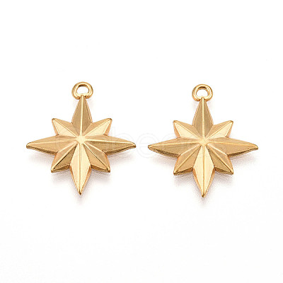 304 Stainless Steel Pendants STAS-N109-103G-1