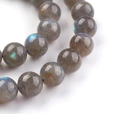 Grade AA Natural Gemstone Labradorite Round Beads Strands G-E251-33-8mm-1