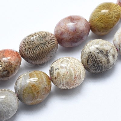 Natural Chrysanthemum Stone Beads Strands X-G-E483-75A-1