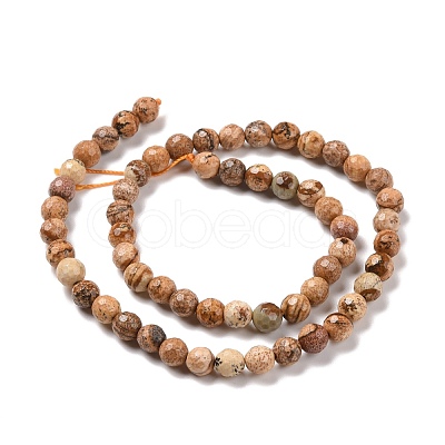 Natural Picture Jasper Beads Strands G-E571-28A-1