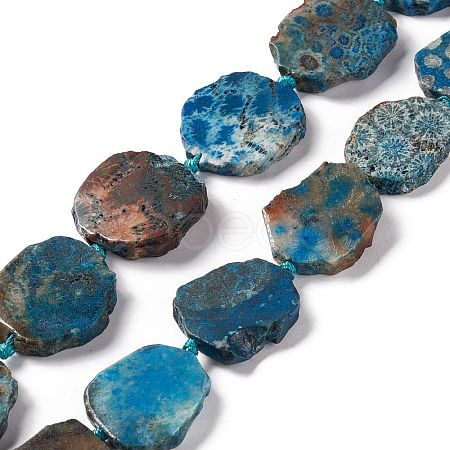 Natural Fossil Coral Beads Strands G-F719-25-1