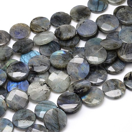 Natural Labradorite Bead Strands G-O099-04-B-1